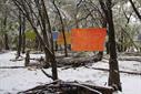Austin Art Galleries Exhibits